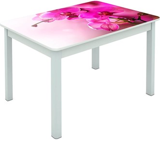 Обеденный стол Мюнхен исп. 1 ноги метал. крашеные №23 Фотопечать (Цветы №16) в Тюмени