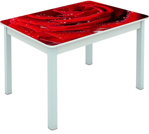Кухонный стол Мюнхен исп. 2 ноги метал. крашеные №23 Фотопечать (Цветы №39) в Заводоуковске - изображение