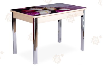 Кухонный стол раздвижной Айсберг-01 СТФ, дуб/фотопечать пионы/ноги хром квадратные в Тюмени
