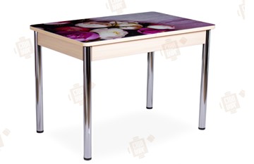 Кухонный стол раздвижной Айсберг-01 СТФ, дуб/фотопечать пионы/ноги хром прямые круглые в Ишиме