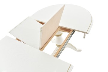 Обеденный раздвижной стол Фабрицио-2 исп. Овал 1600, Тон 12 Покраска + патина с прорисовкой (на столешнице) в Тюмени - предосмотр 3