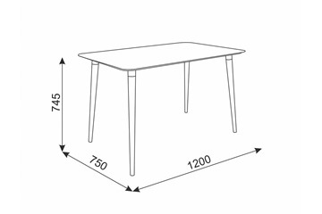 Обеденный стол Сканди 1, серый/венге в Тюмени - предосмотр 1