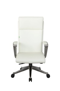 Кресло компьютерное Riva Chair А1511 (Белый) в Заводоуковске - предосмотр 1