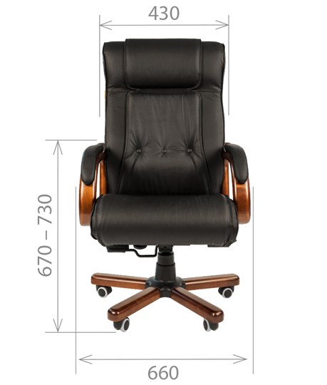 Кресло офисное CHAIRMAN 653 кожа черная в Заводоуковске - изображение 1