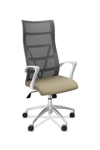 Кресло для руководителя Топ X белый каркас, сетка/ткань TW / серая/светло-серая в Ишиме