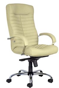 Офисное кресло Orion Steel Chrome-st SF01 в Заводоуковске
