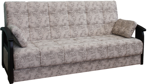 Прямой диван Виктория 5 массив в Заводоуковске - изображение