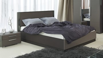 Кровать с механизмом 2-спальная Наоми 1600, цвет Фон серый, Джут СМ-208.01.02 в Тюмени - предосмотр