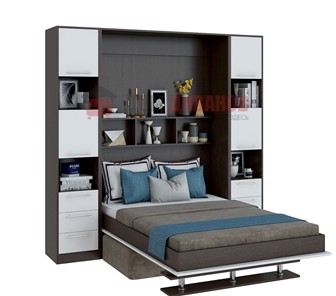 Кровать-шкаф с диваном DetalMaster Бела 1, с полкой ножкой, 1600х2000, венге/белый в Тюмени