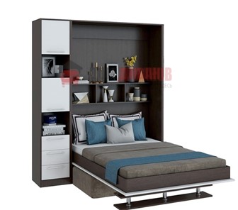 Кровать-шкаф с диваном DetalMaster Бела 1, с полкой ножкой с 1 пеналом, 1600х2000, венге/белый в Тюмени