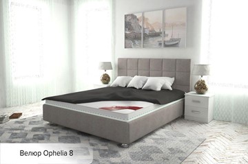 Спальная кровать Капри 120х200 (с основанием) в Заводоуковске - предосмотр 14