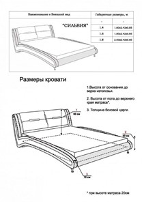 Спальная кровать Сильвия 1400х2000 в Заводоуковске - предосмотр 13