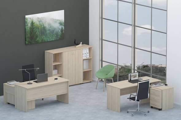Офисный комплект мебели Twin для 2 сотрудников со шкафом для документов в Заводоуковске - изображение