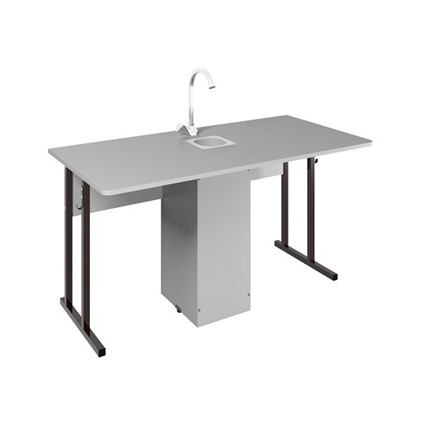 Детский стол 2-местный для кабинета химии Стандарт 6, Пластик Серый/Коричневый в Тюмени - изображение