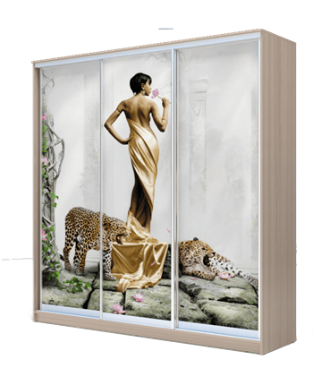 Шкаф 2300х2000х620, наполнение №2, Девушка с леопардом ХИТ 23-20-777-03 Ясень Шимо Светлый в Тюмени - изображение