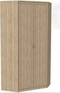 Распашной шкаф 403 несимметричный, цвет Дуб Сонома в Заводоуковске - предосмотр