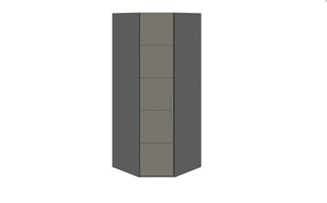 Распашной шкаф угловой Наоми, цвет Фон серый, Джут СМ-208.07.06 в Ишиме