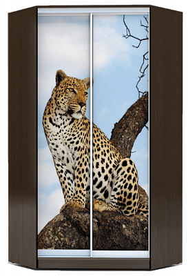 Шкаф угловой 2300х1103, ХИТ У-23-4-77-04, Леопард, венге аруба в Заводоуковске - изображение