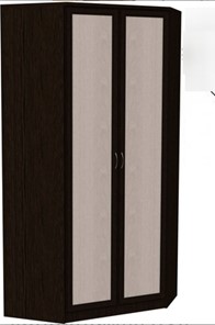 Распашной шкаф 403 несимметричный, цвет Венге в Ишиме