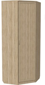 Распашной шкаф 400 угловой, цвет Дуб Сонома в Тюмени - предосмотр