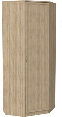 Распашной шкаф 400 угловой, цвет Дуб Сонома в Тюмени - изображение