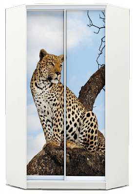 Угловой шкаф 2400х1103, ХИТ У-24-4-77-04, Леопард, белая шагрень в Заводоуковске - изображение