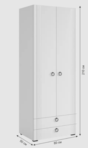 Двухдверный шкаф Ева 103.01 (белое дерево/белый матовый) в Тюмени - предосмотр 10