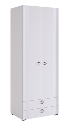 Двухдверный шкаф Ева 103.01 (белое дерево/белый матовый) в Тюмени - изображение