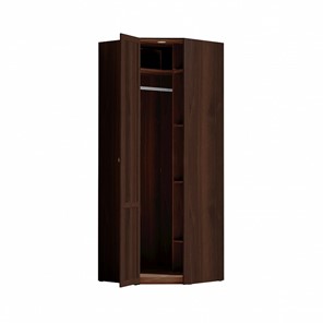 Распашной угловой шкаф Sherlock 63+ фасад стандарт, Орех шоколадный в Заводоуковске - предосмотр 2