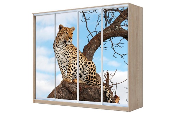 Шкаф 4-х створчатый ХИТ 23-24/2-7777, Леопард, Дуб сонома в Заводоуковске - изображение