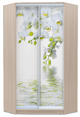 Шкаф угловой 2400х1103, ХИТ У-24-4-77-05, Белая орхидея, шимо светлый в Тюмени - изображение