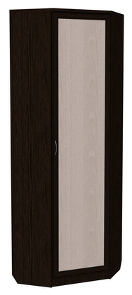 Распашной шкаф 402 угловой со штангой, цвет Венге в Заводоуковске - изображение
