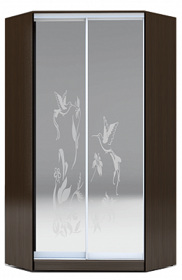 Шкаф угловой 2400х1103, ХИТ У-24-4-66-03, колибри, 2 зеркалами, венге в Тюмени - изображение