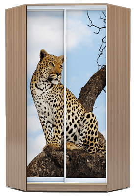 Шкаф 2200х1103, ХИТ У-22-4-77-04, Леопард, шимо темный в Тюмени - изображение