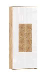 Шкаф двухстворчатый Фиджи с декоративными накладками 659.310, Дуб Золотой/Белый в Ишиме