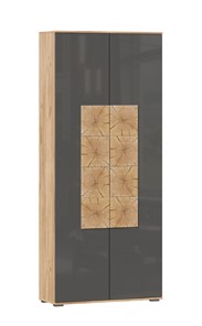 Шкаф двухстворчатый Фиджи с декоративными накладками 659.310, Дуб Золотой/Антрацит в Тюмени