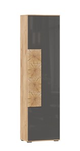 Шкаф одностворчатый Фиджи с декоративными накладками 659.300, Дуб Золотой/Антрацит в Тюмени