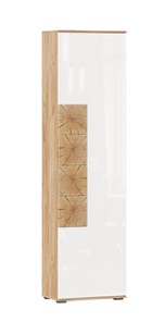 Шкаф одностворчатый Фиджи с декоративными накладками 659.300, Дуб Золотой/Белый в Ишиме