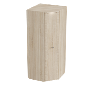 Распашной шкаф угловой Элана, Дуб сонома 900х900х2185 в Ишиме - предосмотр