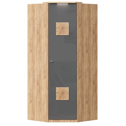 Шкаф угловой 45 с декоративной накладкой Фиджи, 659.245, антрацит в Тобольске - изображение