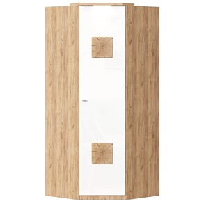 Шкаф угловой 45 с декоративной накладкой Фиджи, 659.248, белый в Тюмени