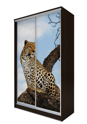 Шкаф 2-х дверный 2300х1362х620, Леопард ХИТ 23-14-77-04 Венге Аруба в Заводоуковске - изображение