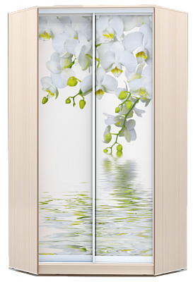 Шкаф угловой 2300х1103, ХИТ У-23-4-77-05, Белая орхидея, дуб млечный в Заводоуковске - изображение