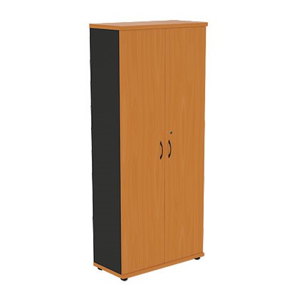 Шкаф 2-дверный Моно-Люкс R5S05 в Заводоуковске - изображение