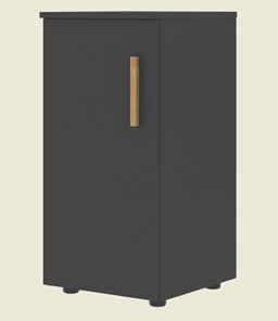 Низкий шкаф колонна с левой дверью FORTA Черный Графит FLC 40.1 (L) (399х404х801) в Заводоуковске - предосмотр