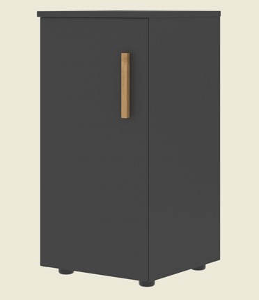 Низкий шкаф колонна с левой дверью FORTA Черный Графит FLC 40.1 (L) (399х404х801) в Заводоуковске - изображение