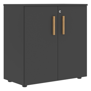 Низкий шкаф с малыми дверцами широкий FORTA Черный Графит FLC_80.1_Z__grafit.png FLC 80.1(Z) (798х404х801) в Ишиме