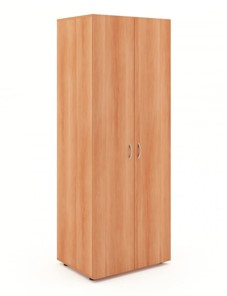 Шкаф для одежды комбинированный арт.35, ЛДСП Бук в Ишиме