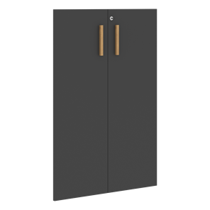Средние двери для шкафов с замком FORTA Черный Графит FMD 40-2(Z) (794х18х1164) в Тюмени