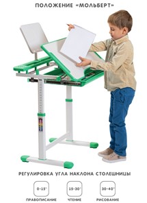 Растущая парта и растущий стул SET HOLTO-17А, зеленый в Заводоуковске - предосмотр 2